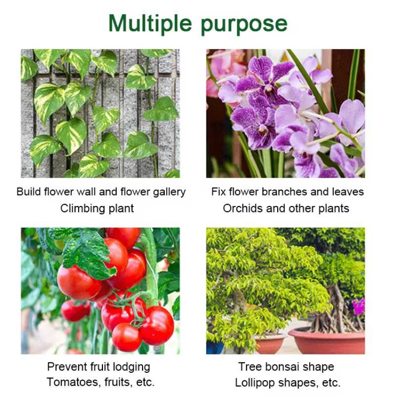 Attaches de fixation pour plantes suspendues