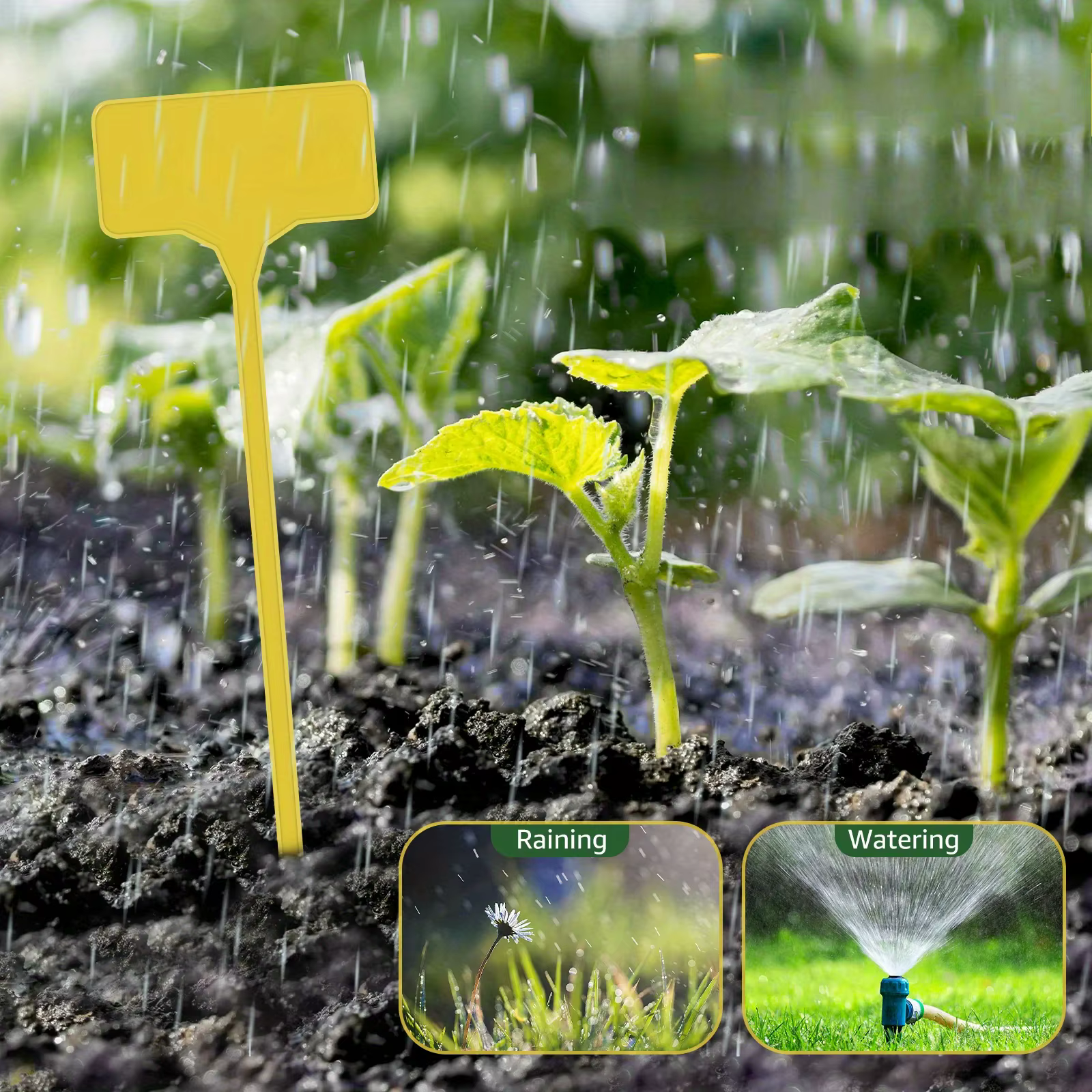 Étiquettes de plantes de jardin en plastique de Type T