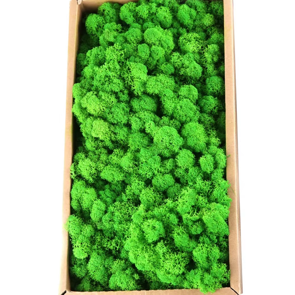 Plantes artificielles en mousse verte
