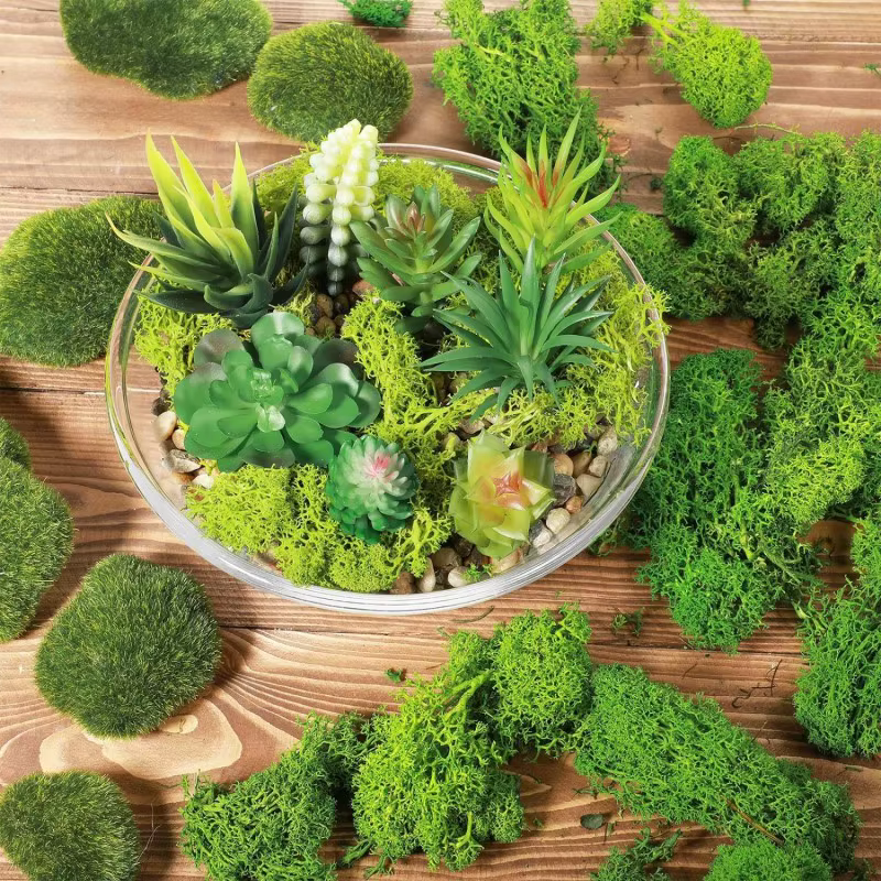 Nouvelles plantes vertes artificielles vie éternelle mousse herbe bricolage