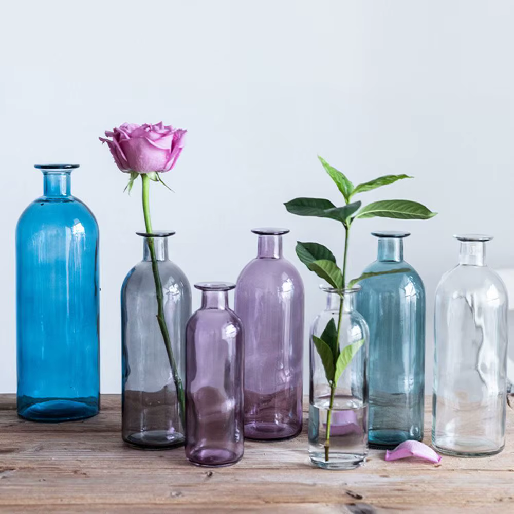 Vase à fleurs hydroponique transparent