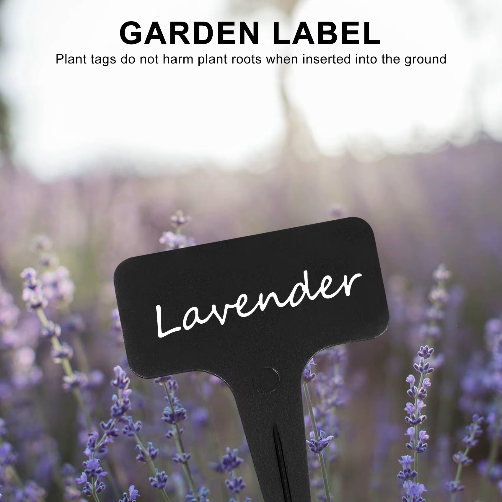 Marqueurs réutilisables pour plantes, 101 pièces/ensemble