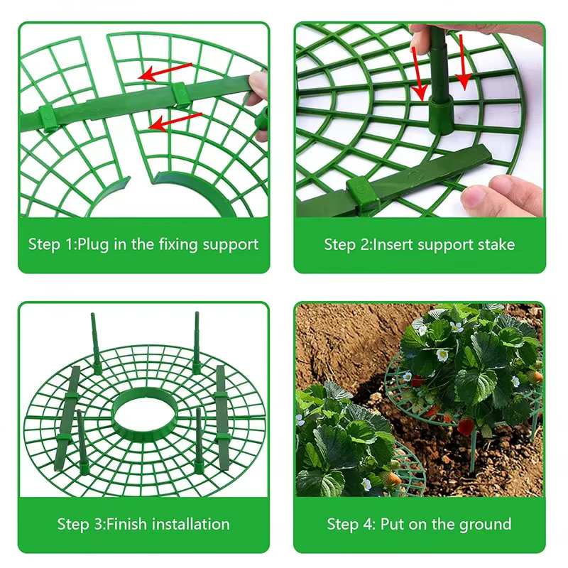 Support de plantes en maille anti-pourriture pour fraises