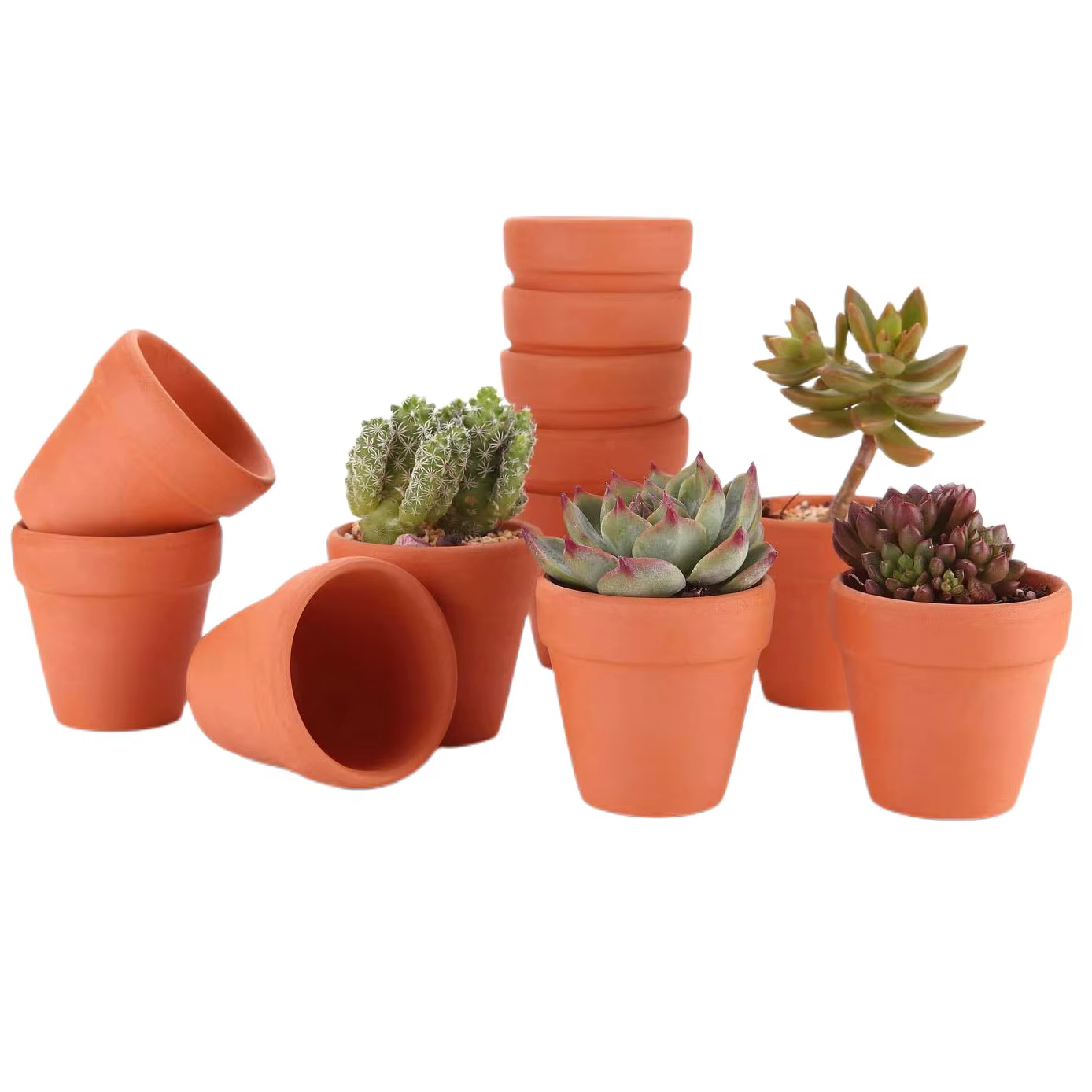 Pots Terra Cotta de 1.8 pouces