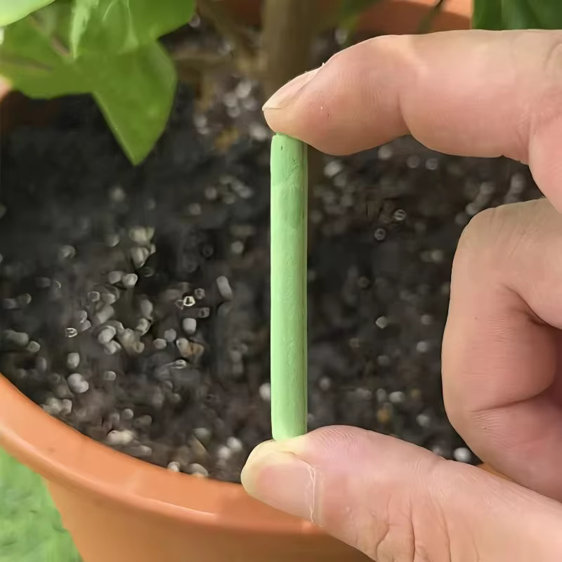 Barres nutritives pour plantes 100/18x