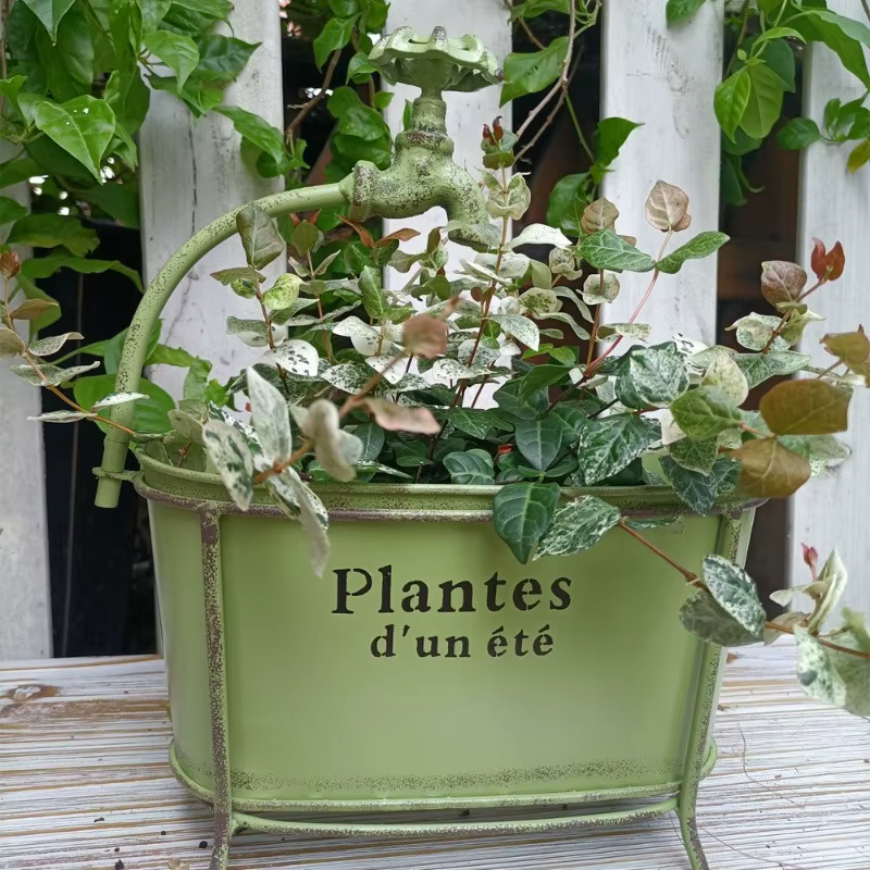 User inière Ovale en Fer pour Plantes de user inage