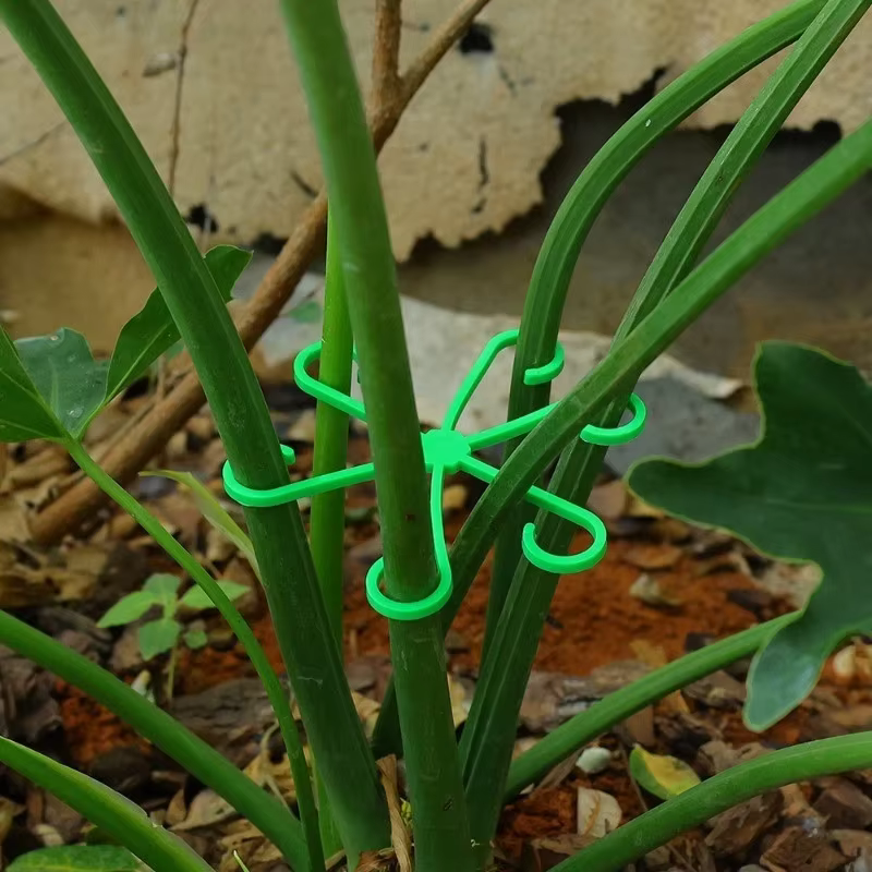 Kit de 4 supports anti-éclatement pour plantes