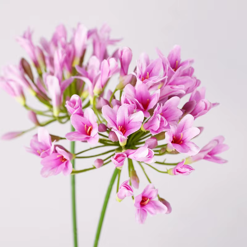 6 pièces de fleurs artificielles d'agapanthus en soie de haute qualité