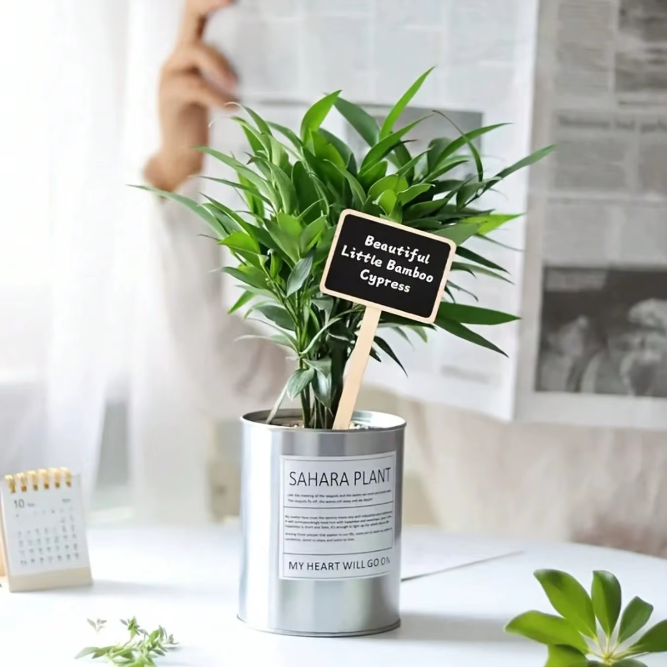Ensemble de 10 étiquettes de plantes rustiques en bois