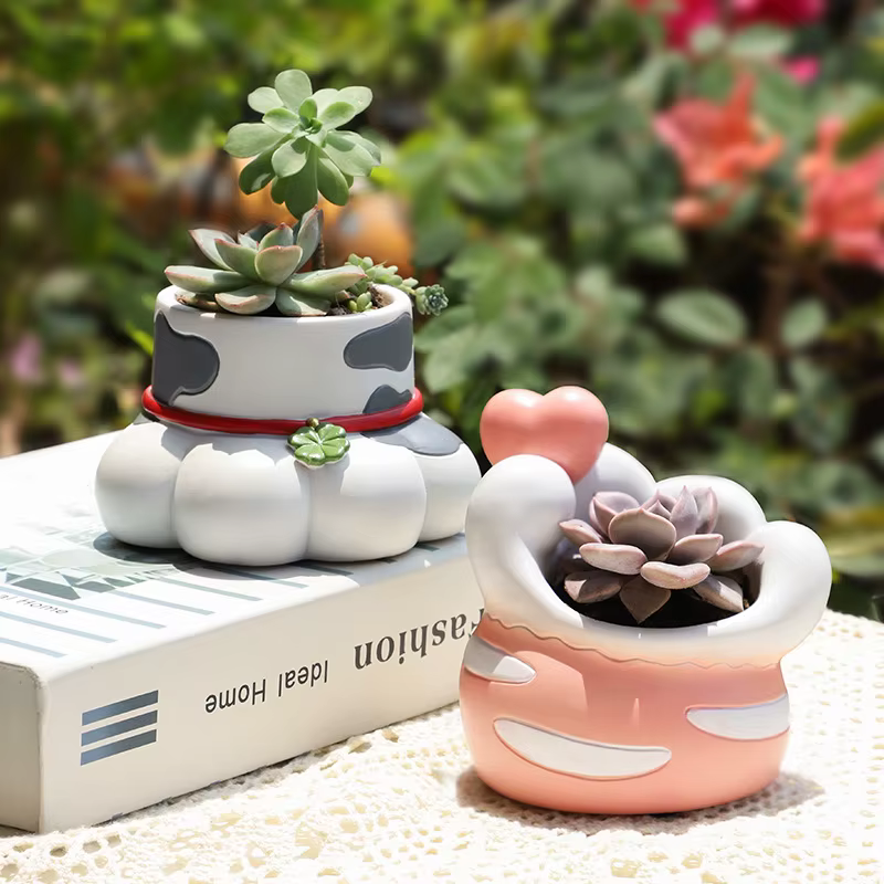 Pot de plantes succulentes en forme de patte de chat