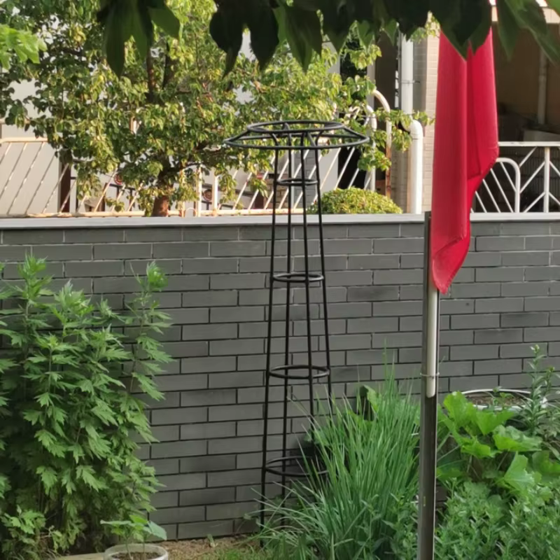 Support de plantes grimpantes en treillis de fleurs de Style parapluie