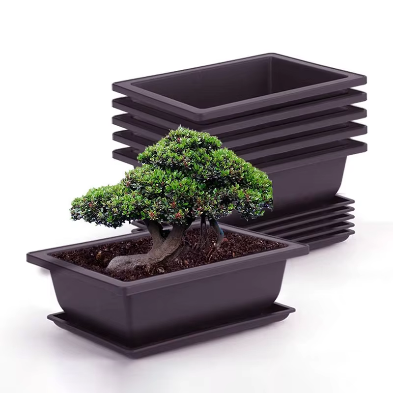Pots pour plantes, pot de fleurs