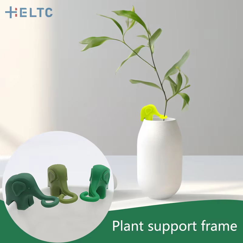 Éléphant plante Propagation copain