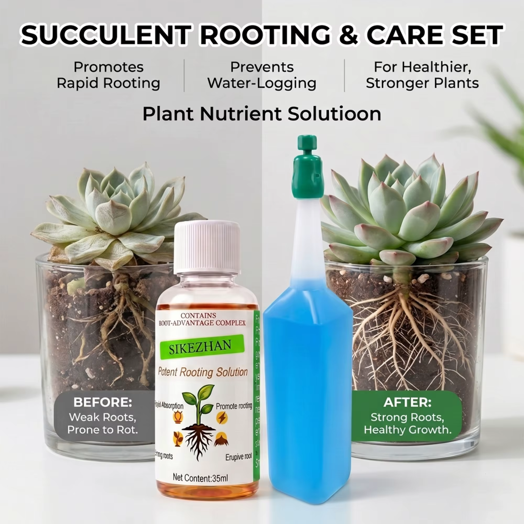 Kit de solution nutritive pour l'enracinement des plantes