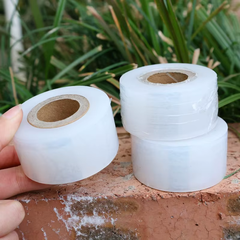 Ruban de greffage extensible pour plantes