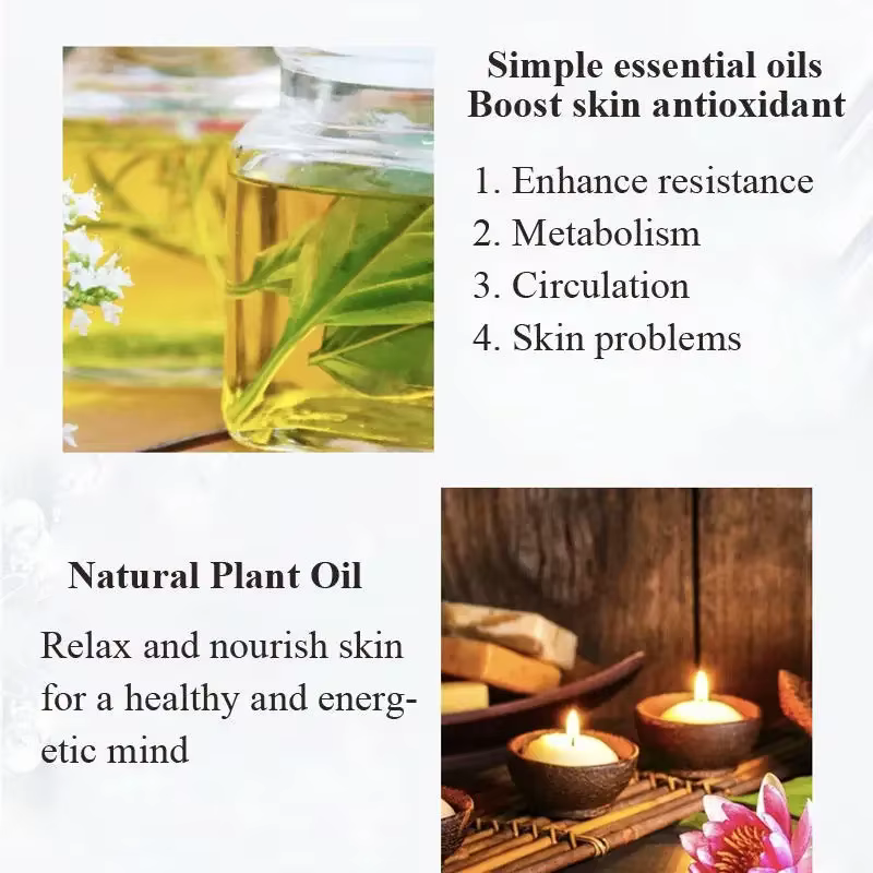 ERBOLO 10ml huile essentielle végétale Pure pour humidificateur diffuseurs menthe lavande arbre à thé vanille bois de