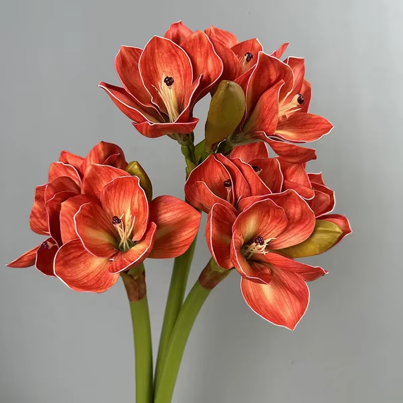 Table à manger fleurs artificielles décoratives Orange Clivias fausse fleur décoration d'hôtel vraie touche Simulation branche de Clivia