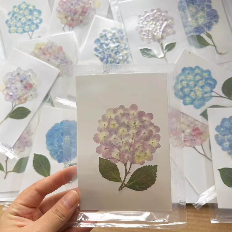 1 sac, fleurs d'hortensia Dryd à branche entière