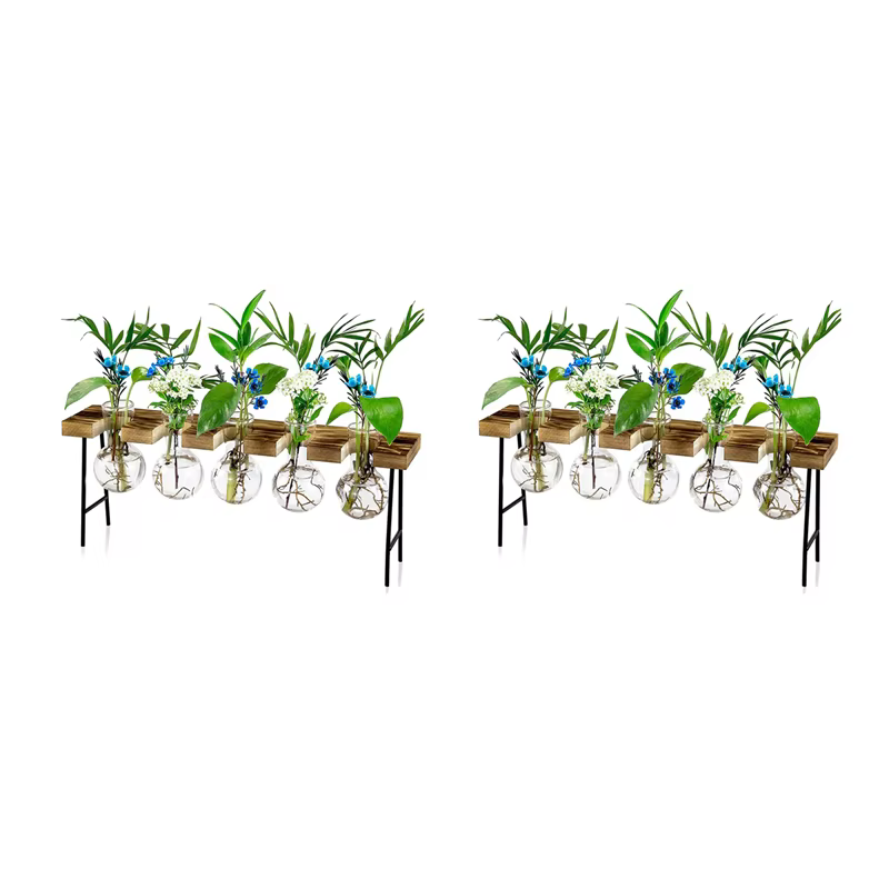 2X Stations de propagation Terrarium de plantes d'air de bureau