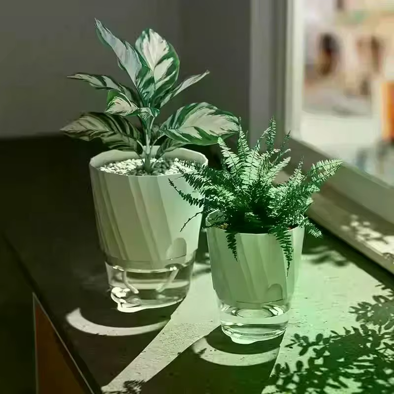 Pot de fleurs hydroponique paresseux à absorption automatique d'eau