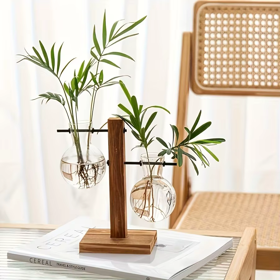 Vase en verre hydroponique