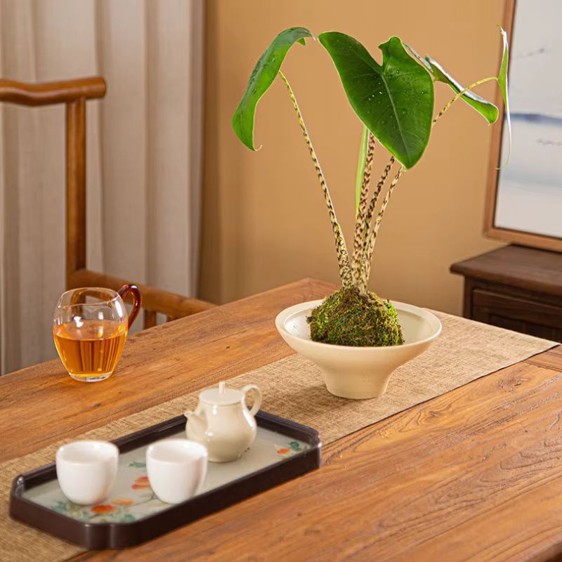 Nouveau pot de fleurs tendance pour orchidées papillon