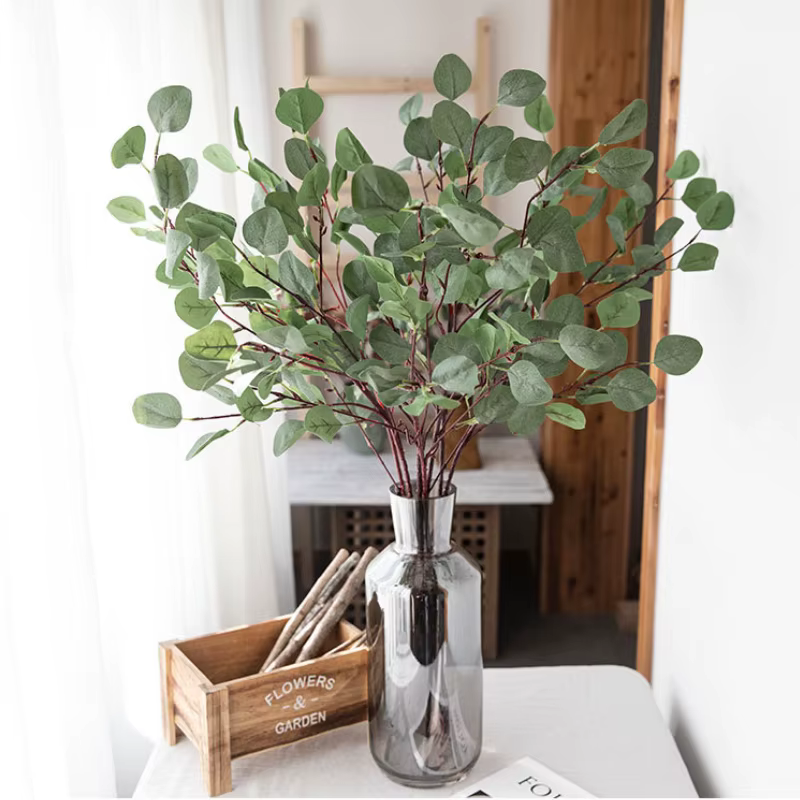 Feuilles d'eucalyptus vertes
