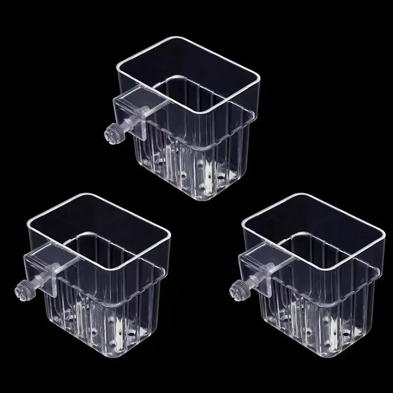 Coupelle de culture hydroponique domestique pour plantes aquatiques