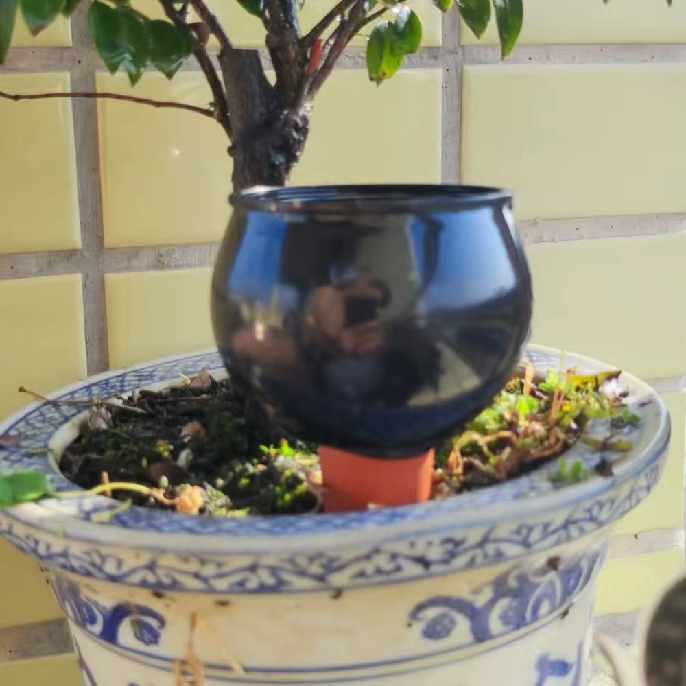 2 pièces Système d'irrigation automatique pour plantes