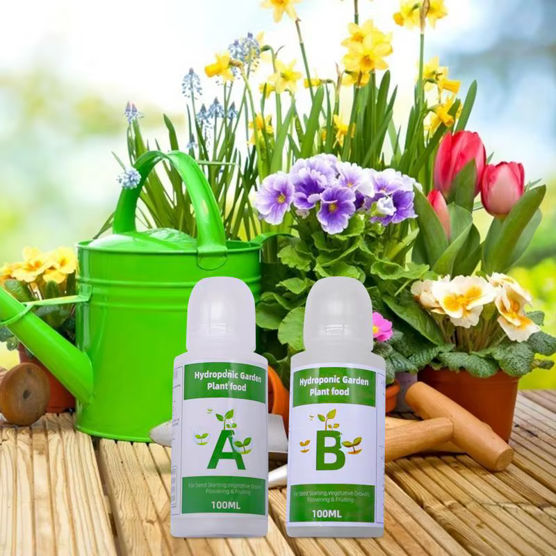 Plantes hydroponique A et B