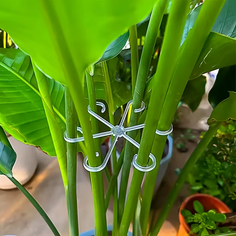 4 supports pliables anti-inclinaison pour plantes