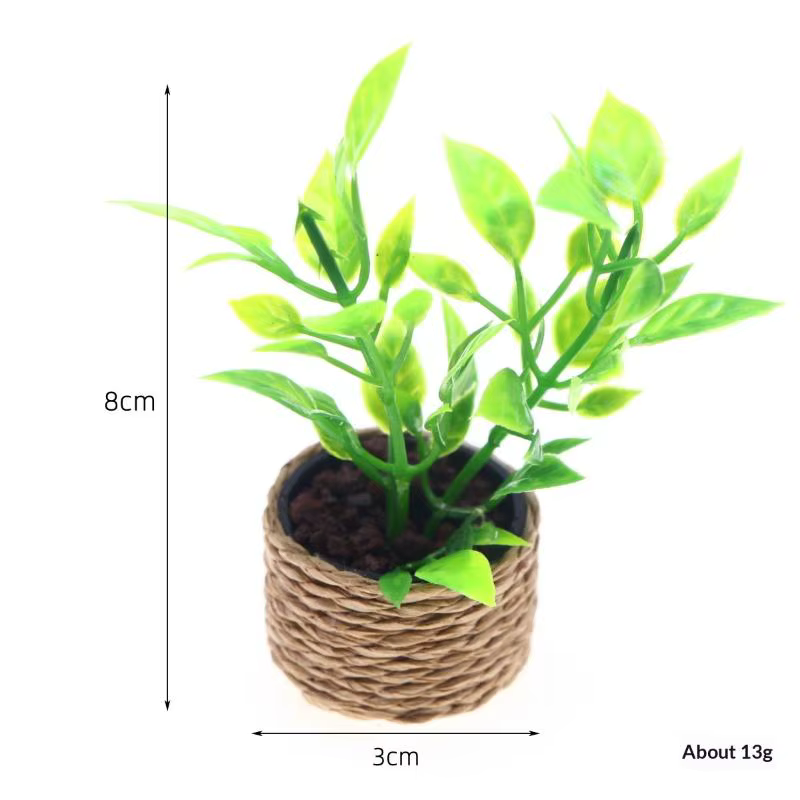 Mini arbre à oranges en pot