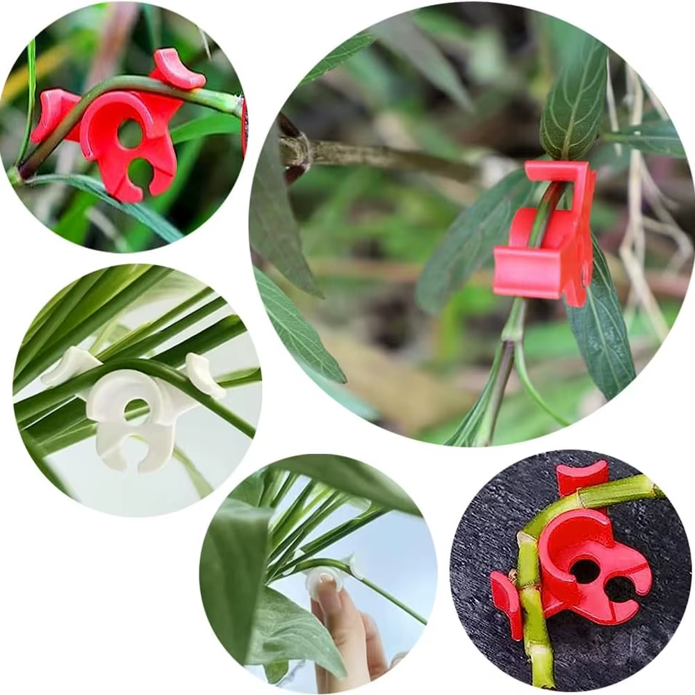 10/20/30 pièces cintreuse de plantes Clips d'entraînement 90 degrés