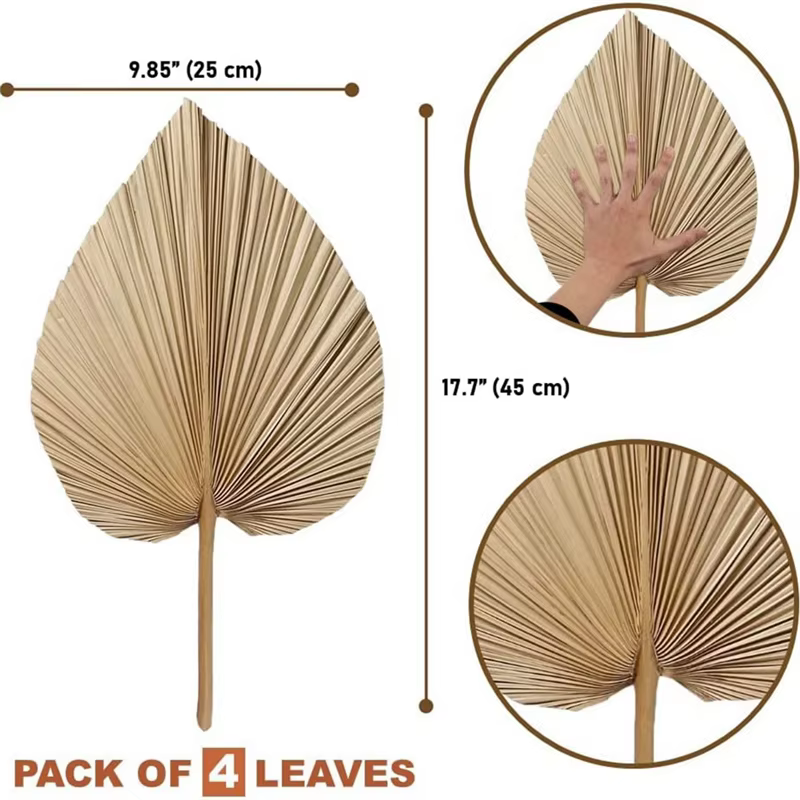 !2025 4 pièces de feuilles de palmier séchées naturelles