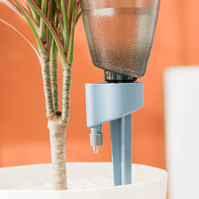 Boules d'arrosage pour plantes vertes avec bouteille