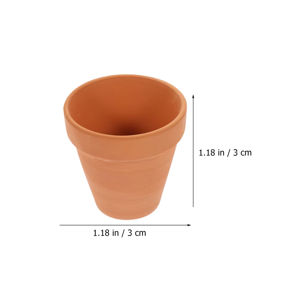 Pot de fleurs succulentes