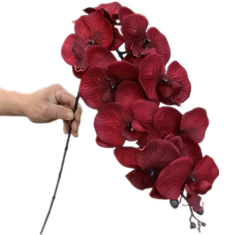 Branche d'orchidées papillon artificielle