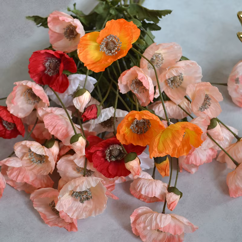 59M américain automne Vintage coquelicot fleur Tour Clap mains tenir fleurs photographie maison mariage salon
