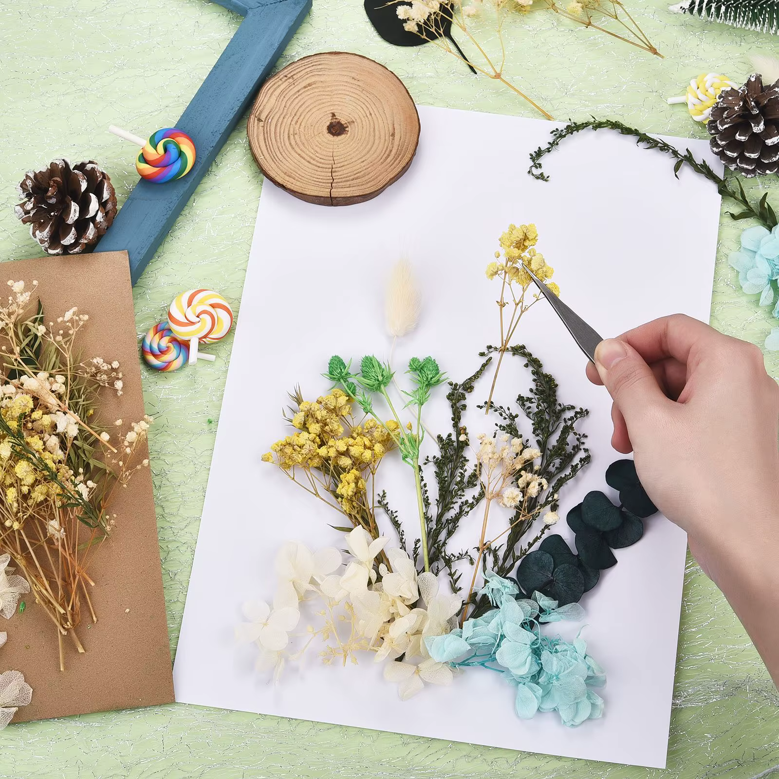 Fleur séchée naturelle pour bougie