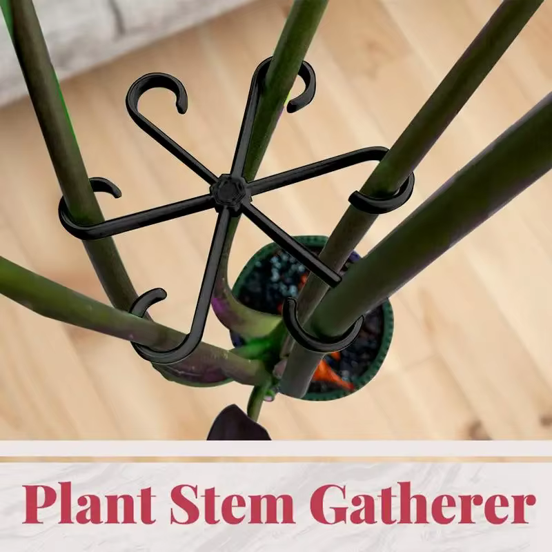 Clips de Support pour plantes grimpantes