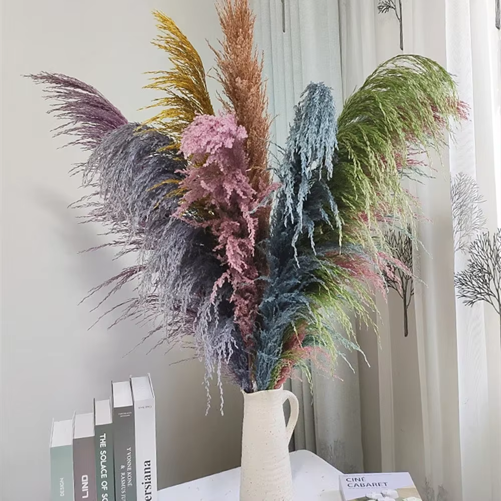 Grande herbe de Pampas naturelle de 80cm