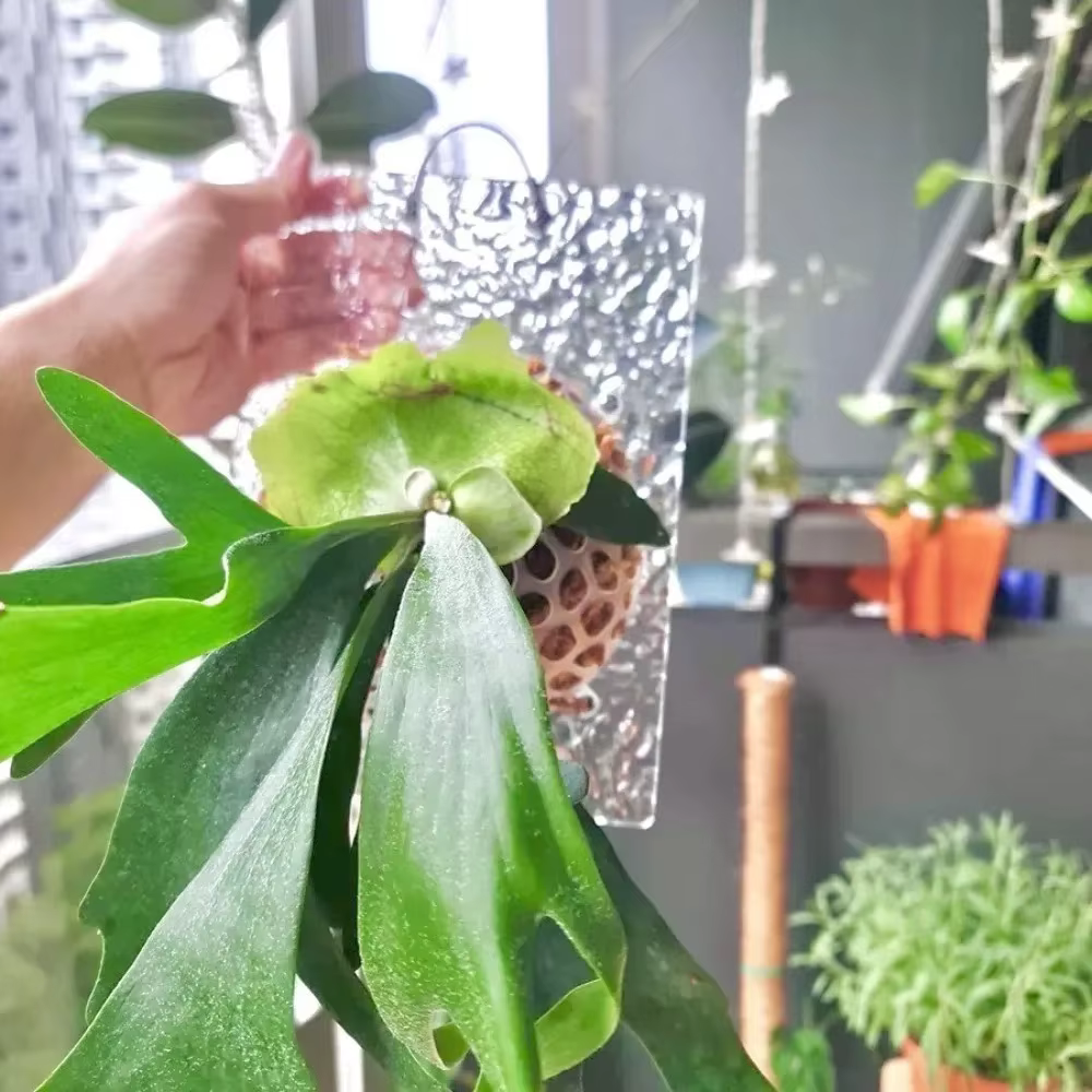 Couverture de protection de sol pour plantes réutilisables