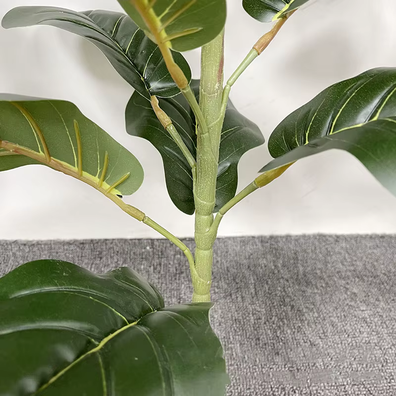 Grandes Plantes Artificielles de Ficus