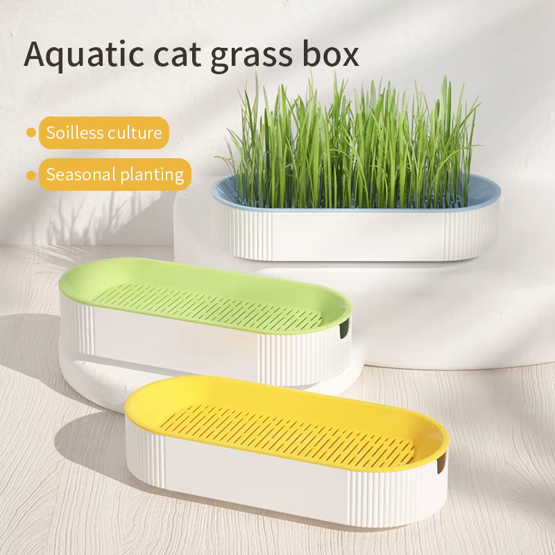 Kit de culture hydroponique d'herbe à chat pour chats