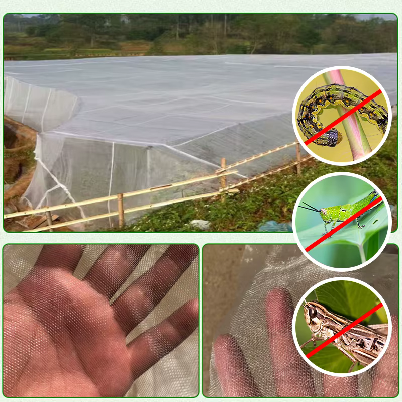 Filet de protection contre les insectes pour plantes de jardin