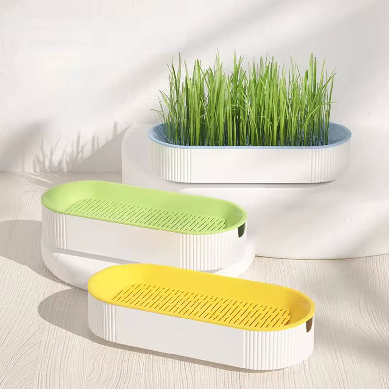 Boîte de plantation hydroponique pour chat
