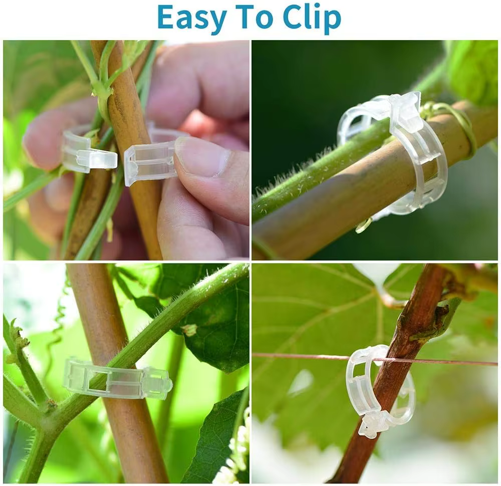 Clips de Support de plantes en plastique réutilisables