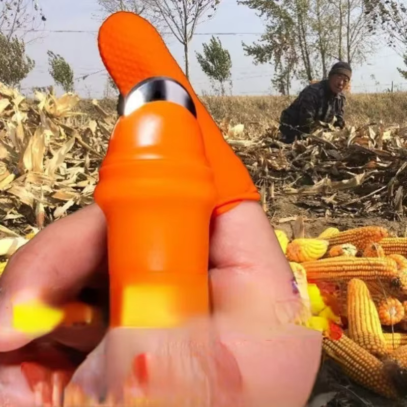 Patch de fruits et légumes de ferme pour verger de jardin