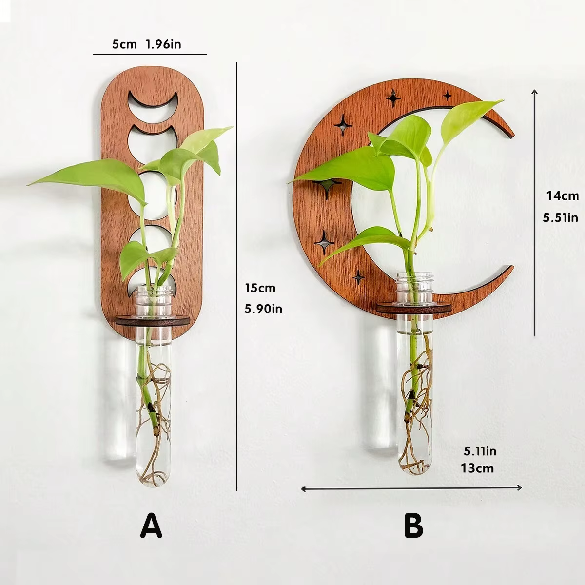 Station de Propagation des plantes