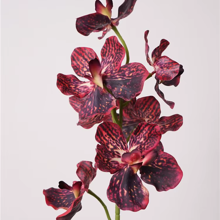 Fleur d'orchidée Vanda artificielle hydratante